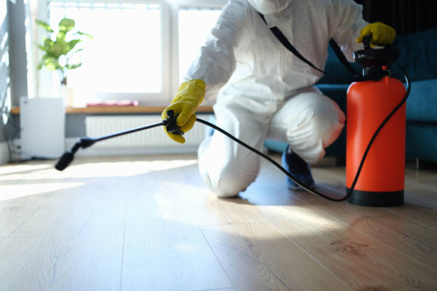 Reliable Hoarding Cleanup contractor in Altamont, IL by Dulley Family Biohazard Services